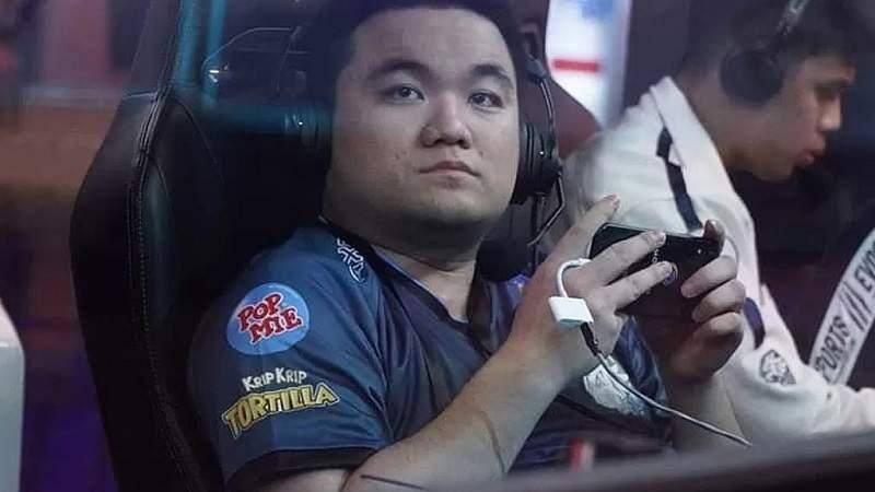Donkey alias Yurino