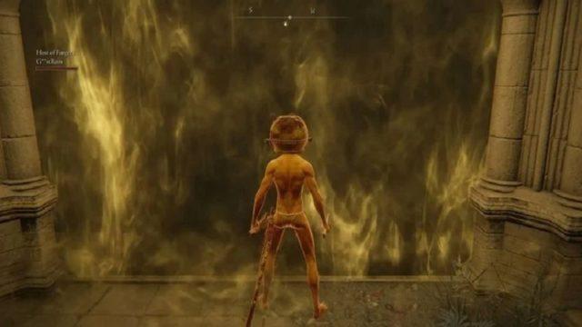Berdedikasi Tinggi di Elden Ring, Gamer ini Dapat Kejutan Tak Terkira