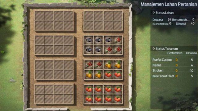 Cara Dapat Buah dan Sayuran di Game Undawn