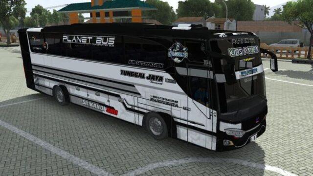 20 Livery BUSSID Kids Panda Terbaru, Download Segera di Sini!