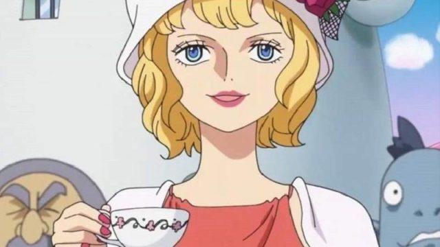 Teori Kloning One Piece yang Paling Mengejutkan, Ada Rocks Pirates?