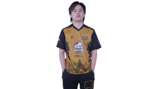 Profil dan Biodata Drian Roster Baru Dewa United Esport
