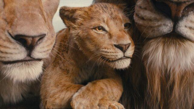 Review Film Mufasa: The Lion King, Perjalanan Sang Singa Hingga Jadi Raja Dihormati