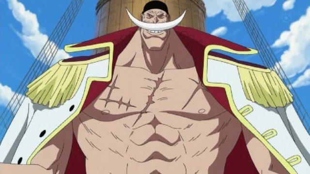 Teori Orang yang Berhasil Melukai Tubuh Shirohige