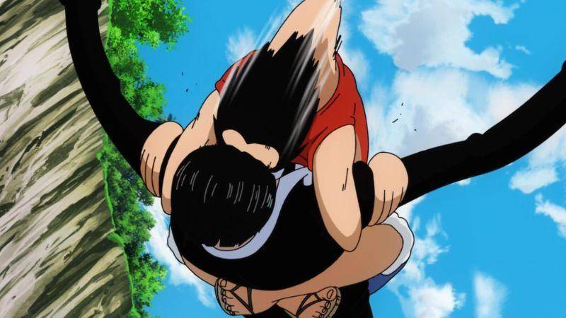 sc: onepiece.fandom.com