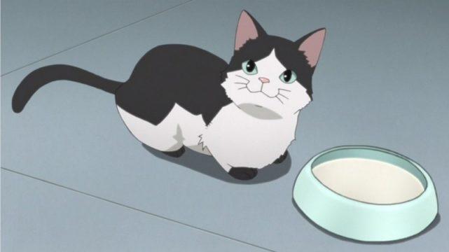 Mikazuki, Kucing Peliharaan Mitsuki Dari Serial Boruto
