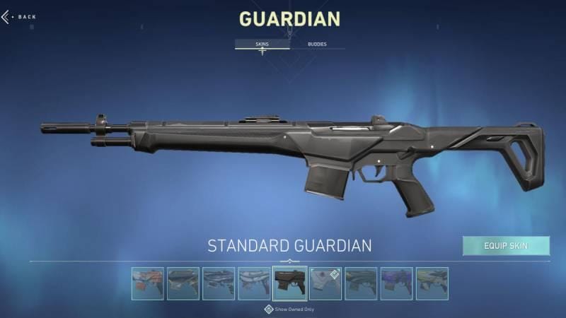 Skin dasar Guardian