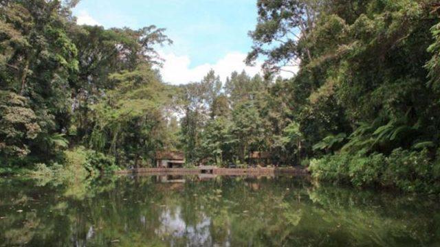 3 Fakta Rowo Bayu Banyuwangi yang Diduga Lokasi Asli KKN di Desa Penari