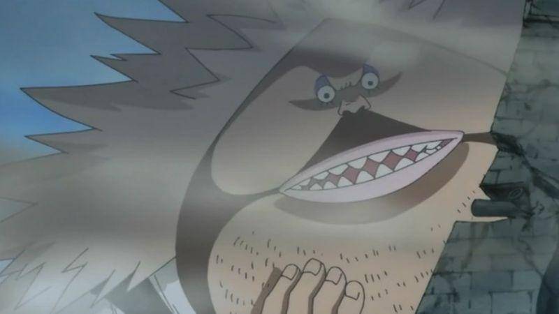 sc: onepiece.fandom.com