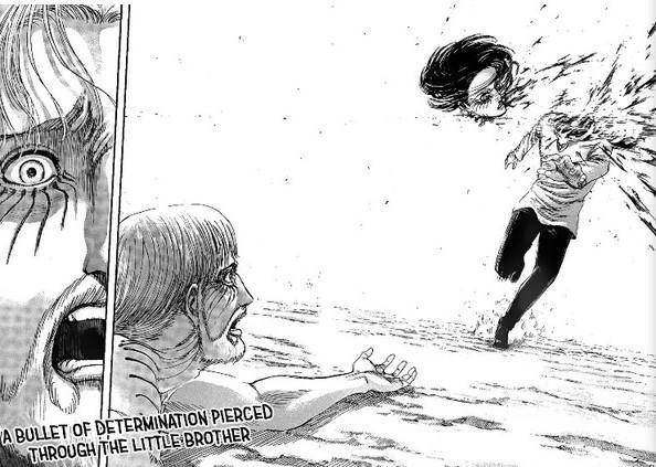 Sumber Gambar: Attack on Titan Fandom