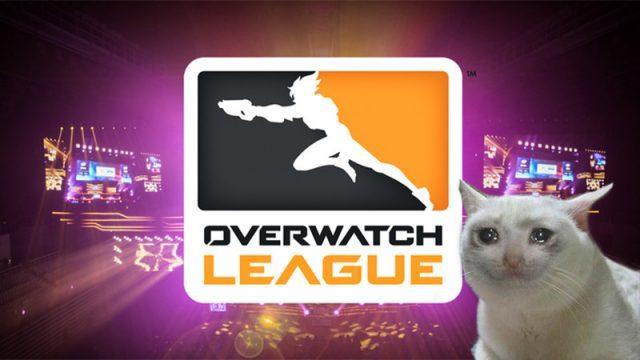 Overwatch League Perkenalkan Sistem Ban Baru Menggunakan Kucing