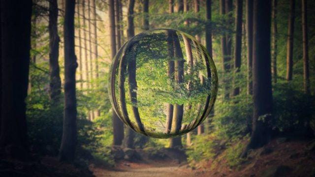 5 Aplikasi Edit Photo Terbaik di Android yang Wajib Kamu Coba!