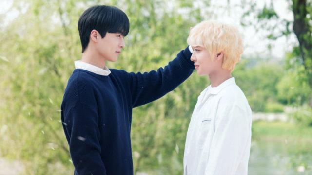 Fakta At a Distance Spring is Green, Drama Korea Baru Adaptasi Webtoon