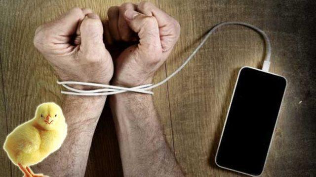 Cegah Anak Kecanduan Smartphone, Walikota Bandung Siapkan Program Bagi-Bagi Anak Ayam