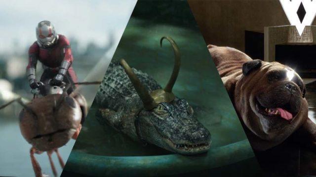Ayo Marvel, Sudah Saatnya Bikin Film Pet Avengers!