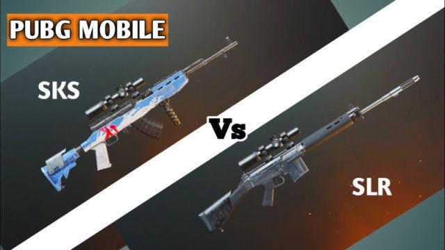 5 Perbedaan Antara Senjata SKS dan SLR Di PUBG Mobile!