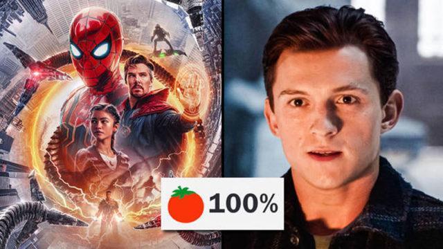 Tayang Hari Ini, Spider-Man: No Way Home Raih Rating 100% Rotten Tomatoes