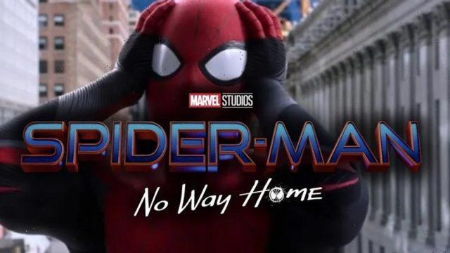 Apakah Spider-Man: No Way Home Menjadi Aksi Terakhir Tom Holland?