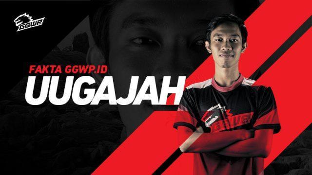 Terungkap! Ini Lima Fakta Seorang GGWP.Uugajah Yang Jarang Diketahui
