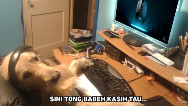 Tips Duduk dan Mengatur Posisi Tangan ketika Bermain Dota 2 dan PUBG dari Logitech G304