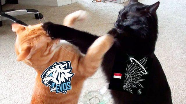BREAKING: Dua Pemain Pro Mobile Legends Terlibat Baku Hantam