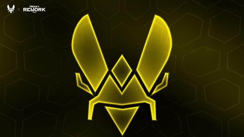 Profil Team Vitality