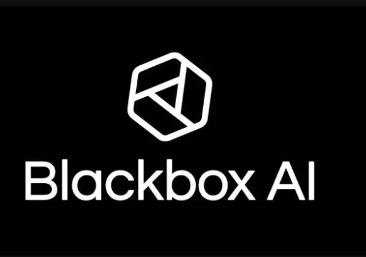 blackbox ai 3.png