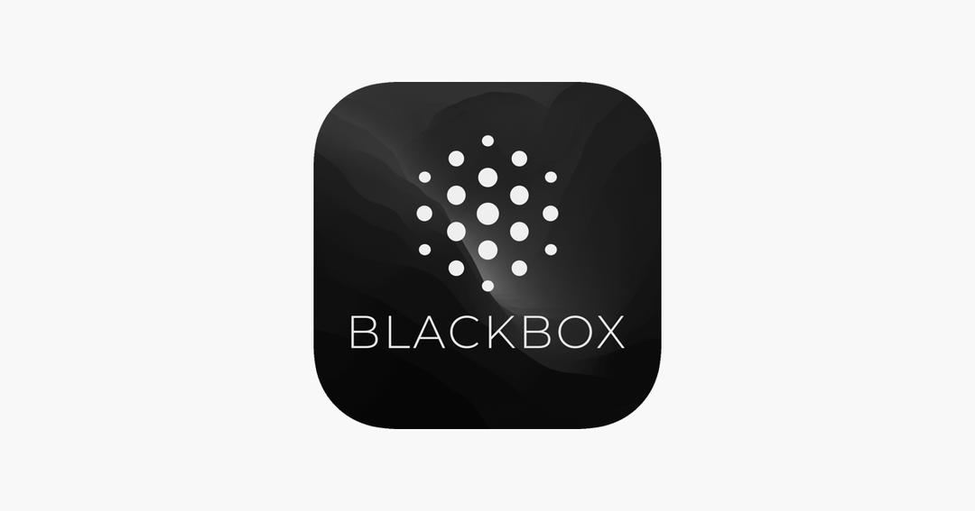 blackbox ai
