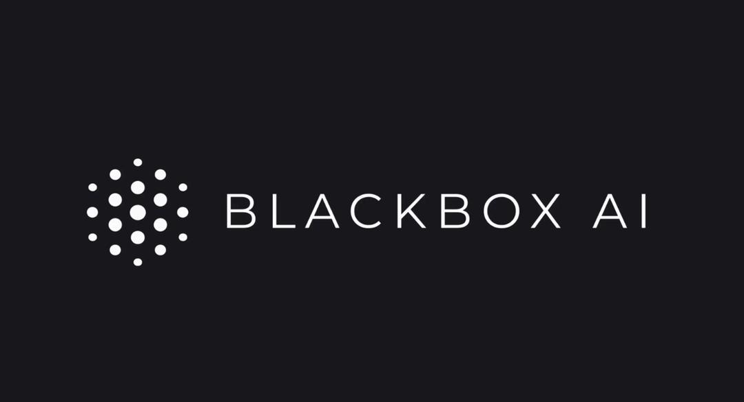 blackbox ai