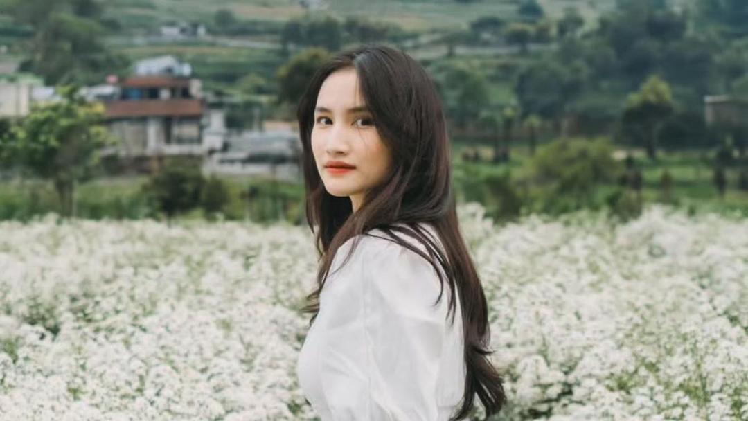 Profil Frieska 4.jpg