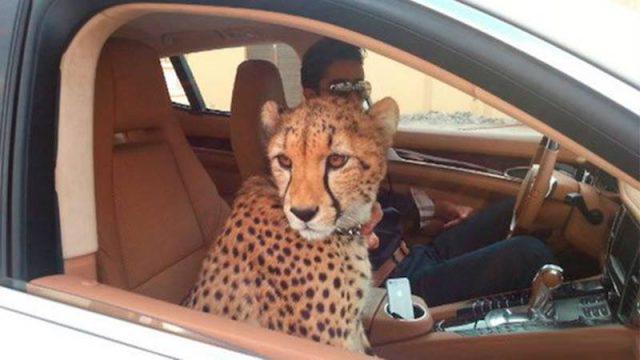 Hal “Gila” yang Hanya Bisa Kamu Temukan di Dubai
