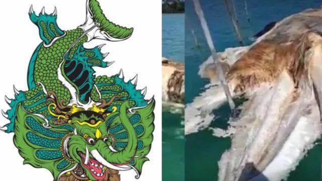 Apa itu Gajah Mina? Geger Makhluk Mitologi Misterius Dikabarkan Muncul di Laut Natuna, Ini Faktanya!