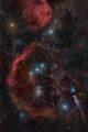 Betelgeuse di barat laut Sabuk Orion | Sumber: nytimes.com