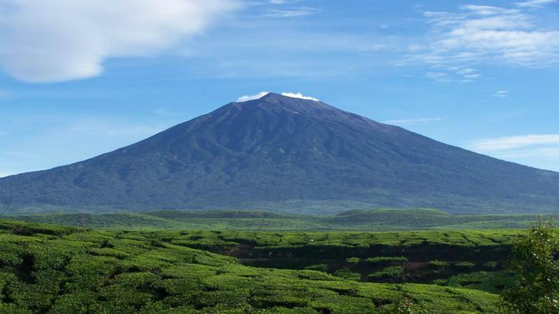 Sumber gambar: Phinemo