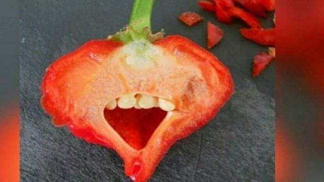 6 Potret Buah Ini Tumbuh Tidak Sesuai dengan Bentuk Aslinya