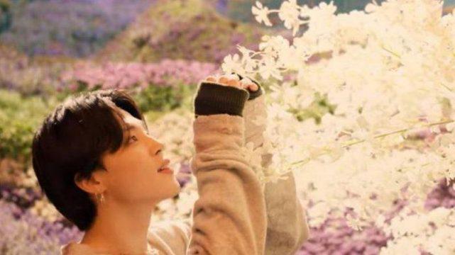 Terjawab! Ternyata Ini Alasan Kenapa YouTube Menghapus Viewers BTS
