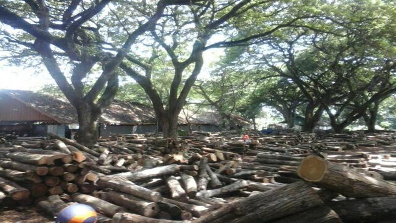 Sumber gambar: Halo Pantura