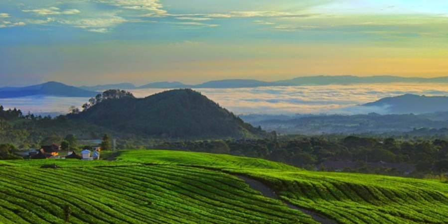 Sumber gambar: Titahhijau