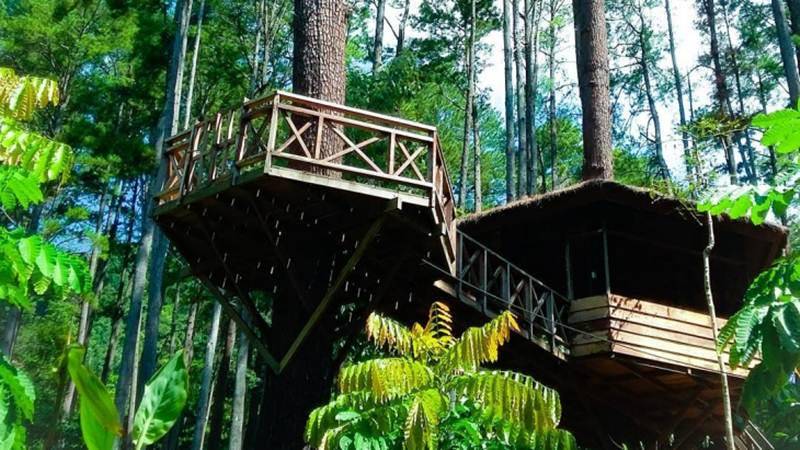 Sumber gambar: merahputih