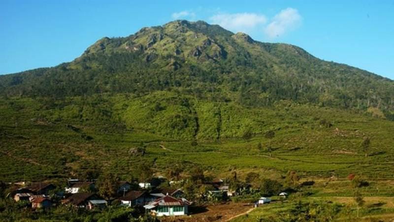 Sumber gambar: detikTravel