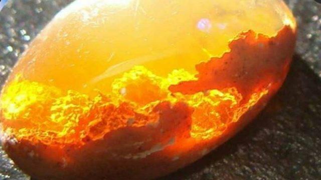 7 Foto Ini Bikin Kamu Sadar Pentingnya Kebersihan Bumi!