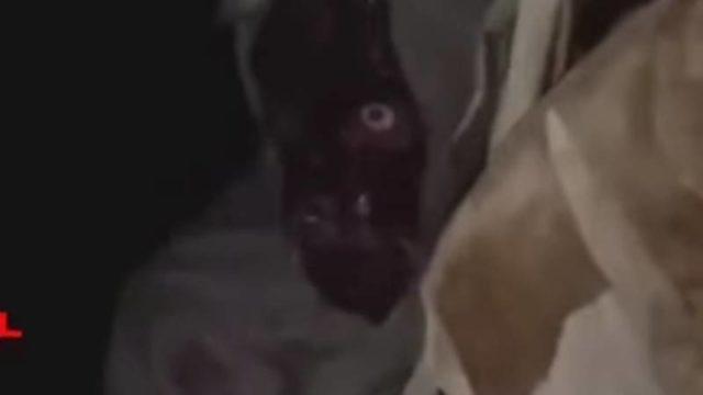 Detik-detik Penampakan Pocong Paling Jelas dan Dekat! Rekayasa?