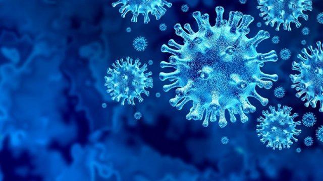 5 Film Terbaik Bertemakan Wabah Virus Mematikan Ini Wajib Ditonton
