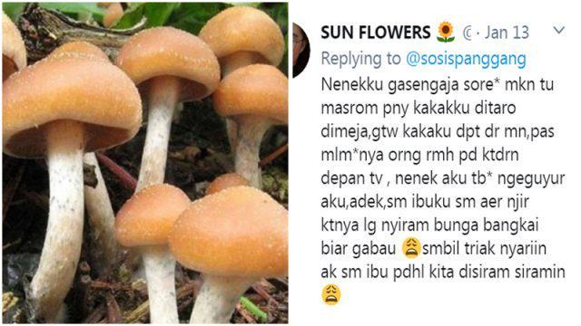 Kocak! Pengalaman Lucu Tentang Jamur Ajaib Ini Dijamin Bikin Ngakak