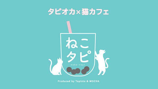 'Neko Tapi', Kafe Crossover Yang Menjadi Daya Tarik Di Jepang