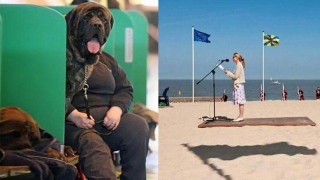 13 Foto Ilusi Optik yang Bikin Kamu Melotot dan Garuk-garuk Kepala