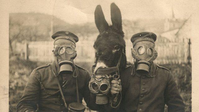 Langka Banget! Ini 20 Foto Legendaris Dunia yang Sengaja Tidak Dipublikasikan