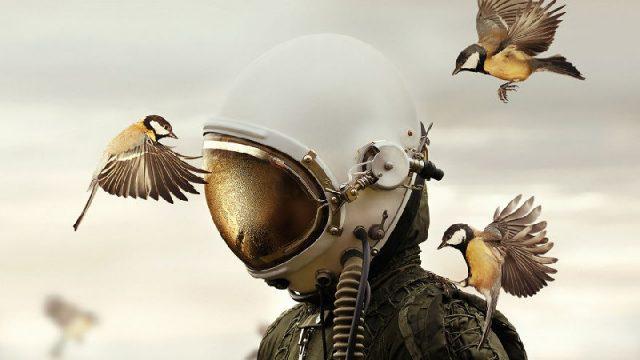 10 Foto Terbaik dan Paling Memukau di Dunia, Semuanya Mengagumkan