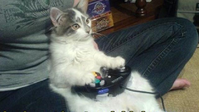 Lawak Gaming! 9 Game Terlucu Ini Bisa Obati Stres Kamu di Malam Minggu