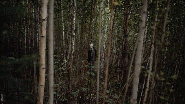 Ada Alas Roban, Ini 9 Hutan yang Dikenal Paling Angker di Indonesia